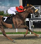 Joyluck<br>Photo by Singapore Turf Club